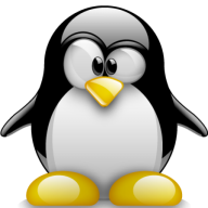 Avatar von bit