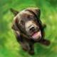 Avatar von struppi