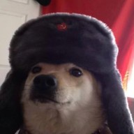 Avatar von Feuri