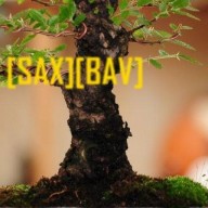Avatar von Saxbav