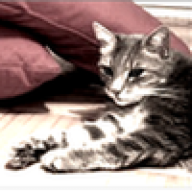 Avatar von Martin