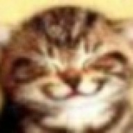 Avatar von Lachkater