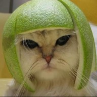 Avatar von Johannes