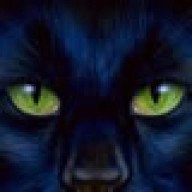 Avatar von Hans