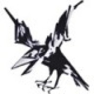 Avatar von ravenonline