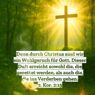 Avatar von Marcus Radisch