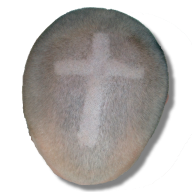 Avatar von michote